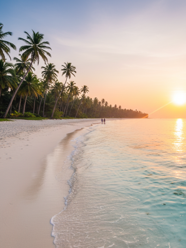 Top 10 Tourist Places in andaman You Can’t Miss in 2026