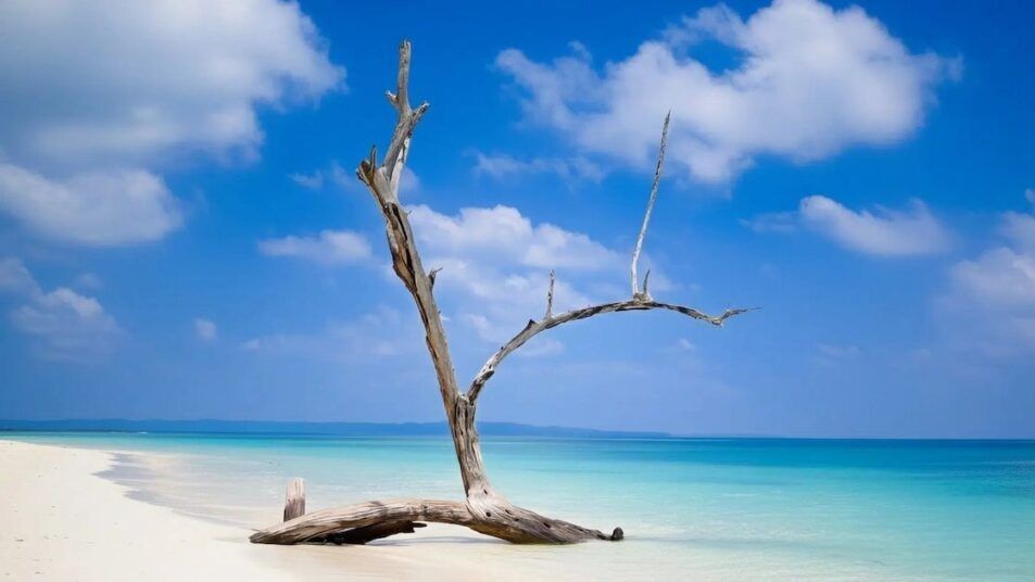 Kalapathar Beach, Havelock Island with black rocks, white sand, and clear blue sea