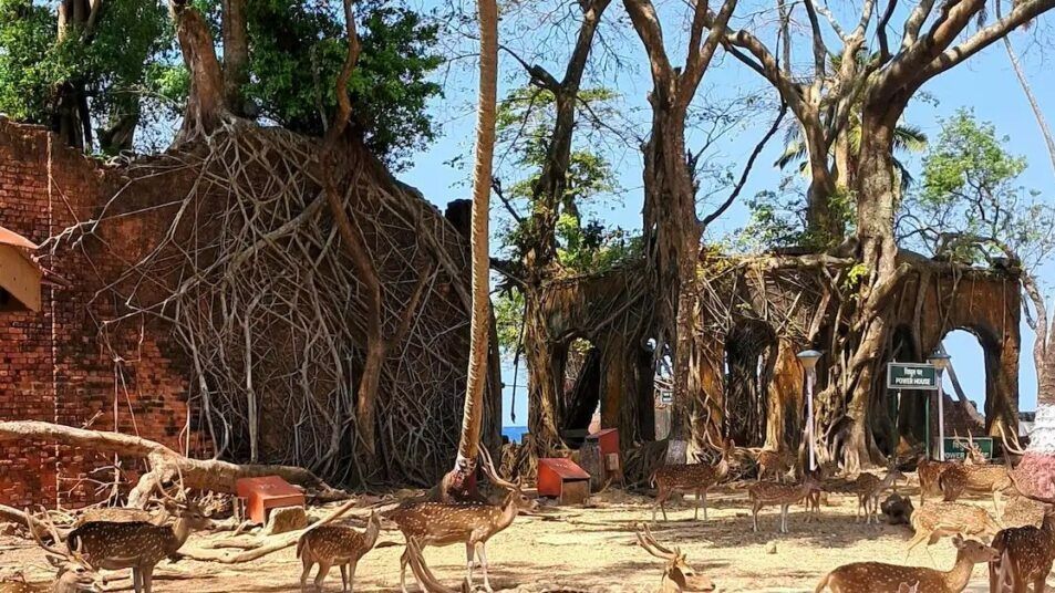 image editor output image1685872413 17671750063566139261244337418338