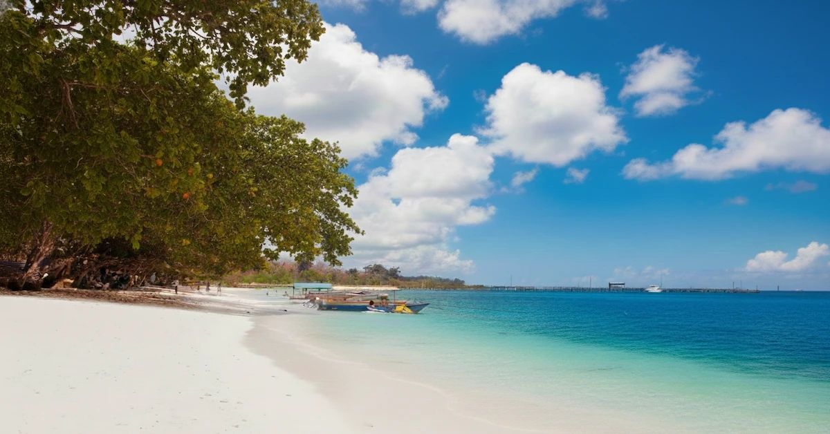 Bharatpur Beach, Neil Island with clear shallow water, coral sand, and small boats